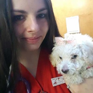 Vet Assistant and Poodle