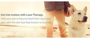 K Laser for dog pain management and recovery