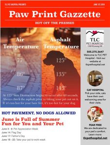 TLC News Paw Print Gazette