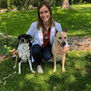 Dr. Garver Veterinarian