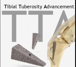 TTA Tibial Tuberosity Advancement